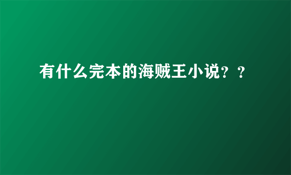 有什么完本的海贼王小说？？