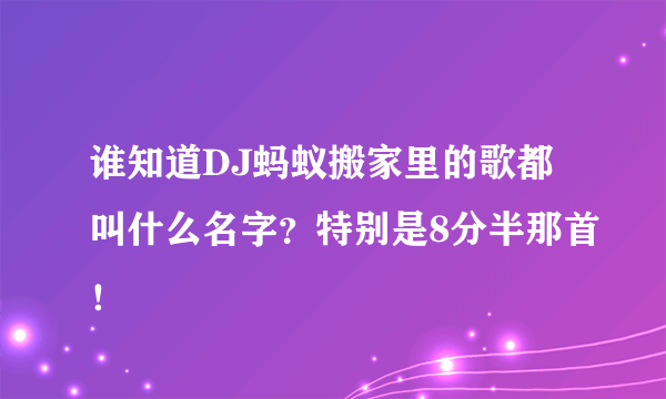 谁知道DJ蚂蚁搬家里的歌都叫什么名字？特别是8分半那首！