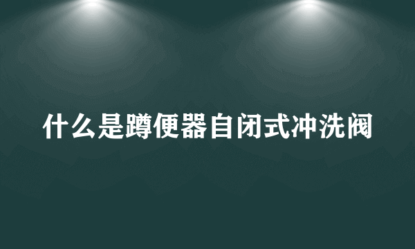 什么是蹲便器自闭式冲洗阀