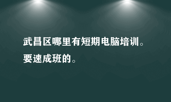 武昌区哪里有短期电脑培训。要速成班的。