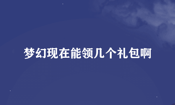 梦幻现在能领几个礼包啊