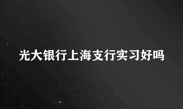 光大银行上海支行实习好吗