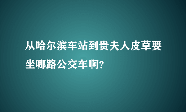 从哈尔滨车站到贵夫人皮草要坐哪路公交车啊？