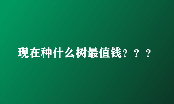 现在种什么树最值钱？？？