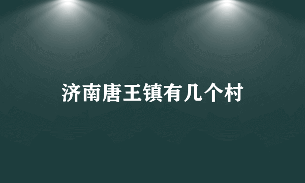 济南唐王镇有几个村