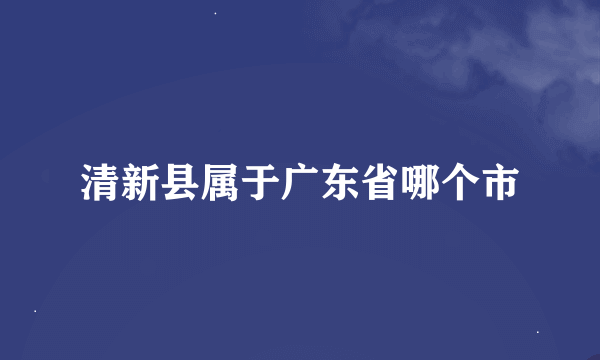 清新县属于广东省哪个市