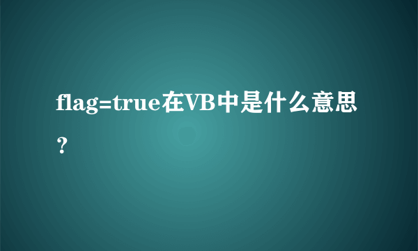 flag=true在VB中是什么意思？