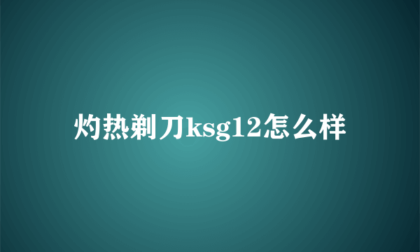 灼热剃刀ksg12怎么样