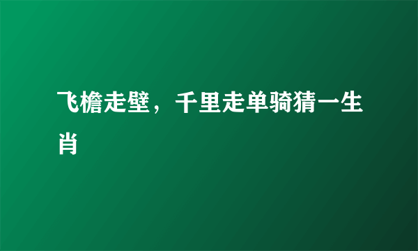 飞檐走壁，千里走单骑猜一生肖