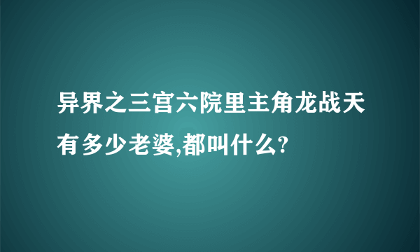 异界之三宫六院里主角龙战天有多少老婆,都叫什么?