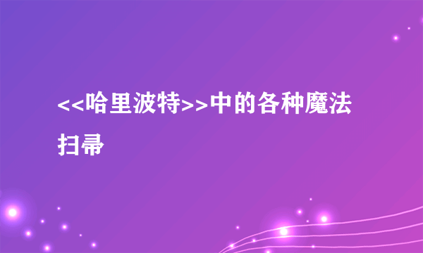 <<哈里波特>>中的各种魔法扫帚