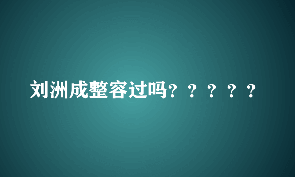 刘洲成整容过吗？？？？？