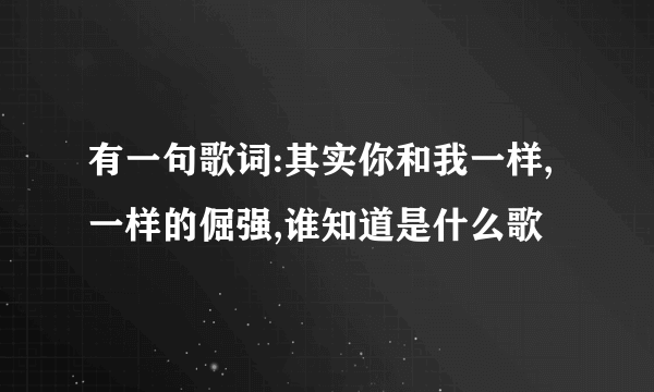 有一句歌词:其实你和我一样,一样的倔强,谁知道是什么歌