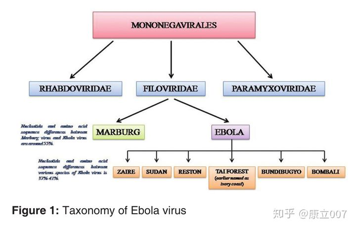 “西安出现多例出血热”顶上热搜，你了解这种传染病吗？