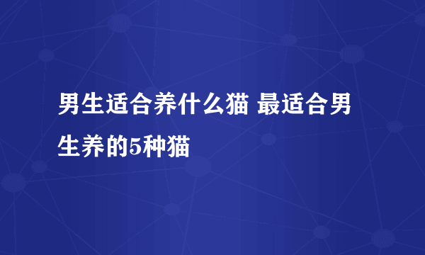 男生适合养什么猫 最适合男生养的5种猫