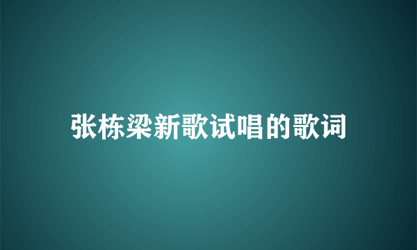 张栋梁新歌试唱的歌词