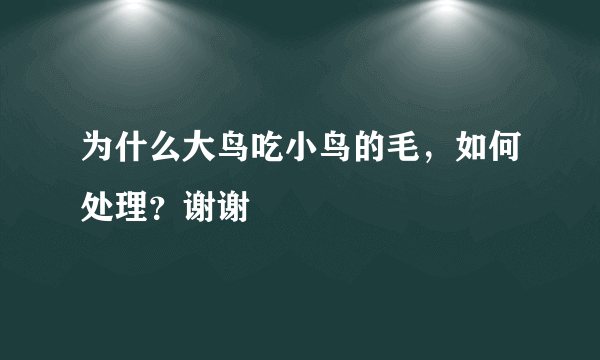 为什么大鸟吃小鸟的毛，如何处理？谢谢