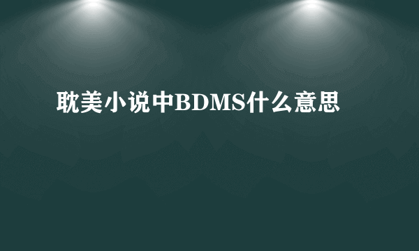 耽美小说中BDMS什么意思