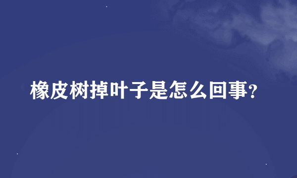 橡皮树掉叶子是怎么回事？