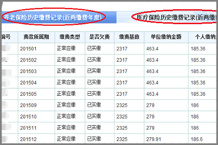 怎么查询济南市社会保险明细