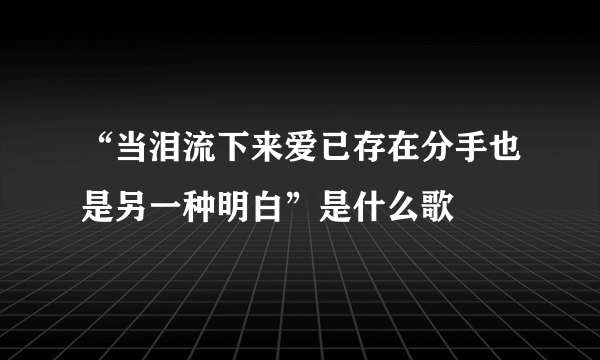 “当泪流下来爱已存在分手也是另一种明白”是什么歌