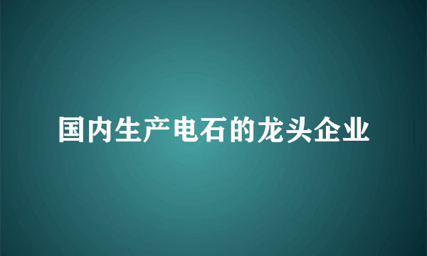 国内生产电石的龙头企业