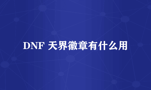 DNF 天界徽章有什么用