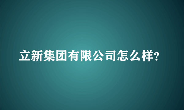 立新集团有限公司怎么样？