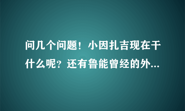 问几个问题！小因扎吉现在干什么呢？还有鲁能曾经的外援兰普提现在做什么？