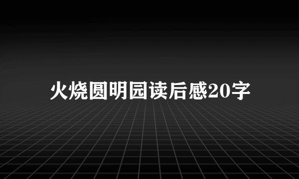 火烧圆明园读后感20字