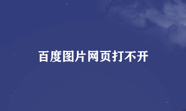 百度图片网页打不开