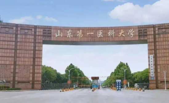 山东省第一医科大学分数线