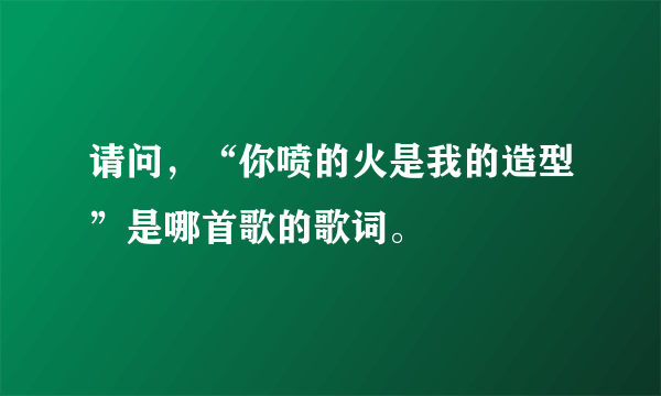 请问，“你喷的火是我的造型”是哪首歌的歌词。