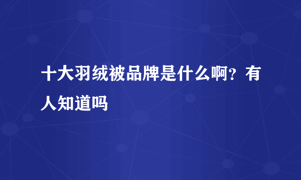 十大羽绒被品牌是什么啊？有人知道吗