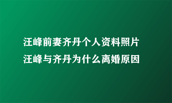 汪峰前妻齐丹个人资料照片 汪峰与齐丹为什么离婚原因