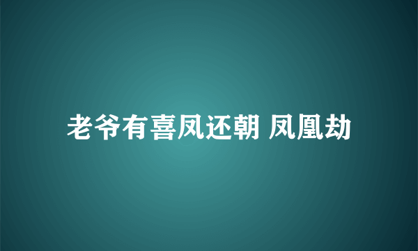 老爷有喜凤还朝 凤凰劫