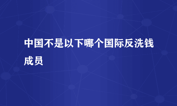 中国不是以下哪个国际反洗钱成员