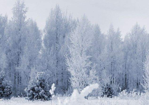 下雪的心情的经典句子