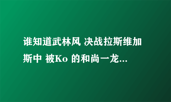 谁知道武林风 决战拉斯维加斯中 被Ko 的和尚一龙还有复仇计划么？有时间么？知道的告诉 谢谢