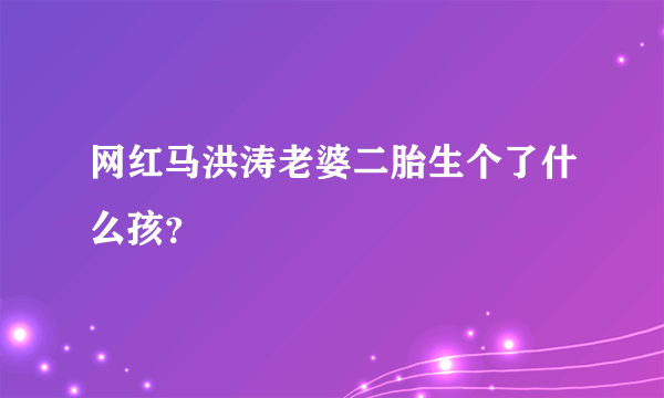 网红马洪涛老婆二胎生个了什么孩？