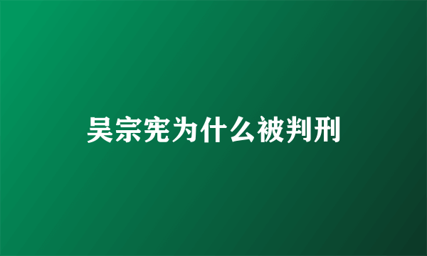 吴宗宪为什么被判刑