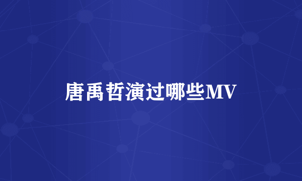 唐禹哲演过哪些MV