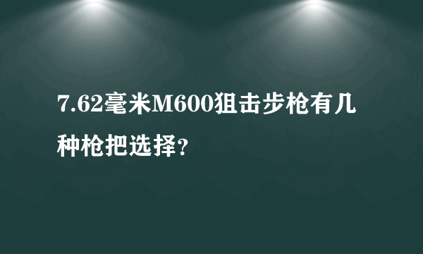 7.62毫米M600狙击步枪有几种枪把选择？