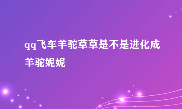 qq飞车羊驼草草是不是进化成羊驼妮妮