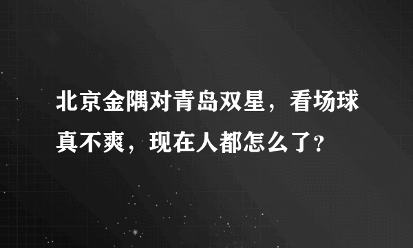 北京金隅对青岛双星，看场球真不爽，现在人都怎么了？