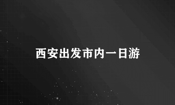 西安出发市内一日游