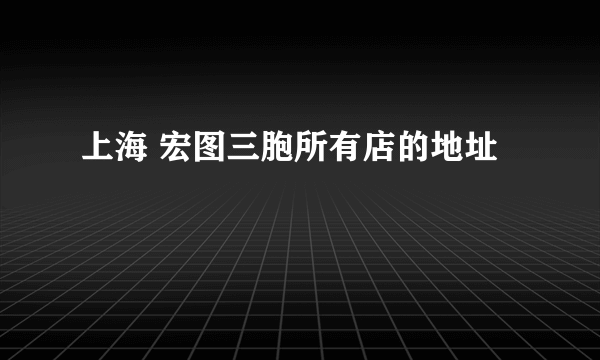 上海 宏图三胞所有店的地址