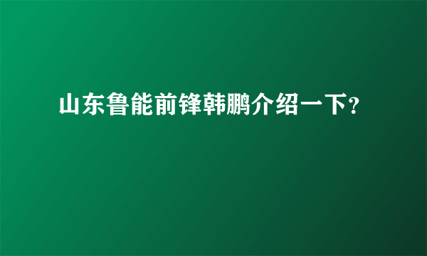 山东鲁能前锋韩鹏介绍一下？