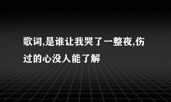 歌词,是谁让我哭了一整夜,伤过的心没人能了解