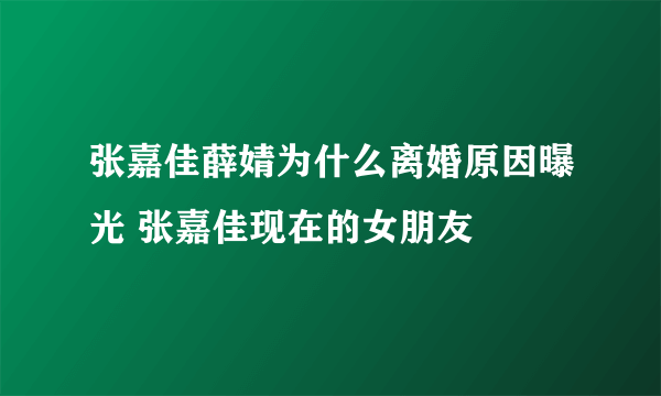 张嘉佳薛婧为什么离婚原因曝光 张嘉佳现在的女朋友